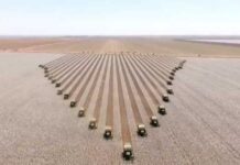 MT terá safra recorde com produção de grãos acima dos 100 milhões de toneladas